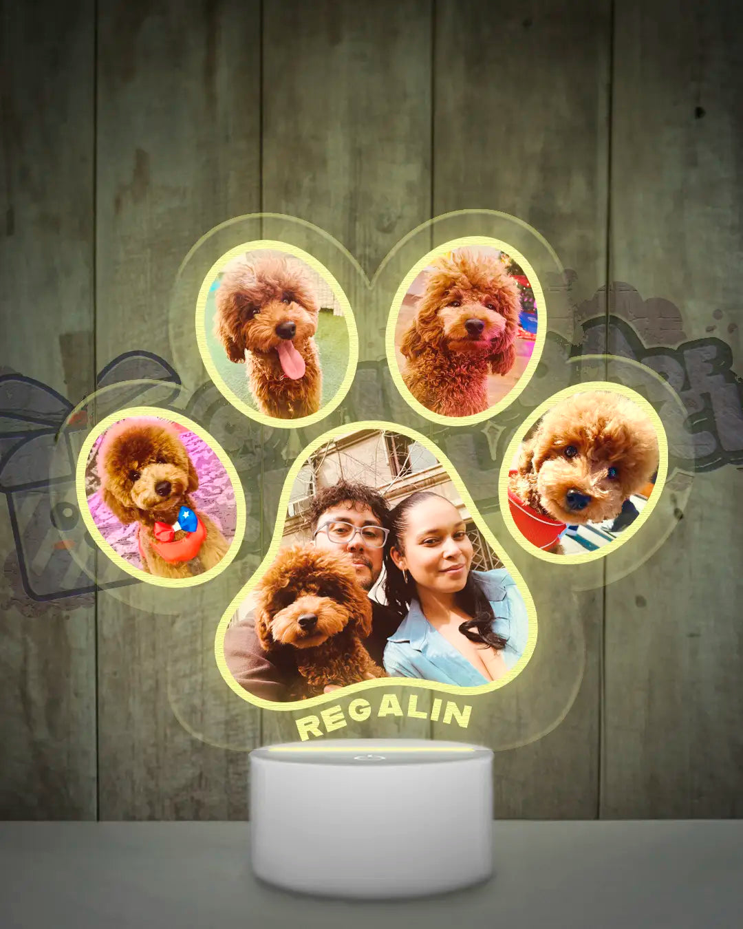 Lampara Led 3D Garrita