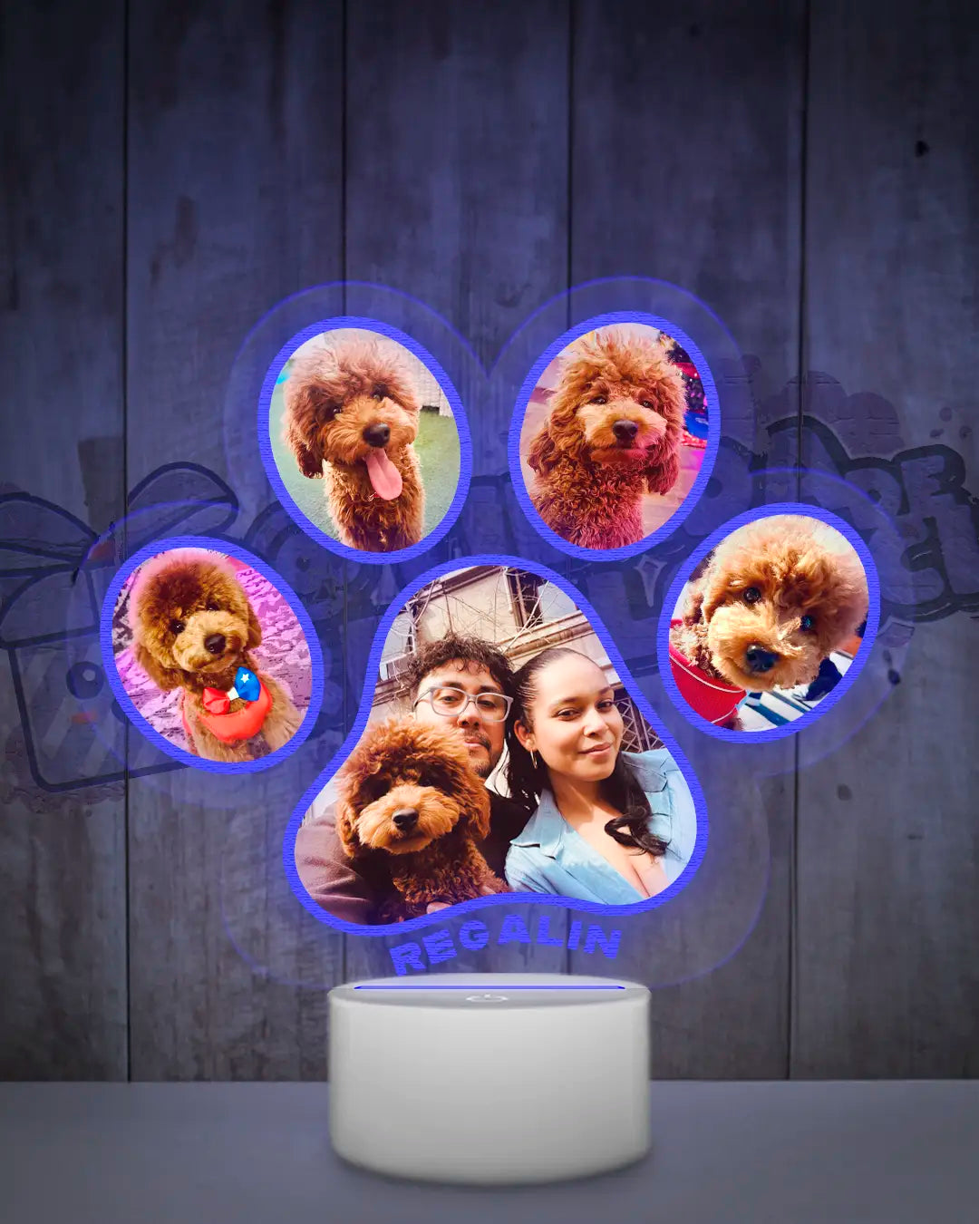 Lampara Led 3D Garrita