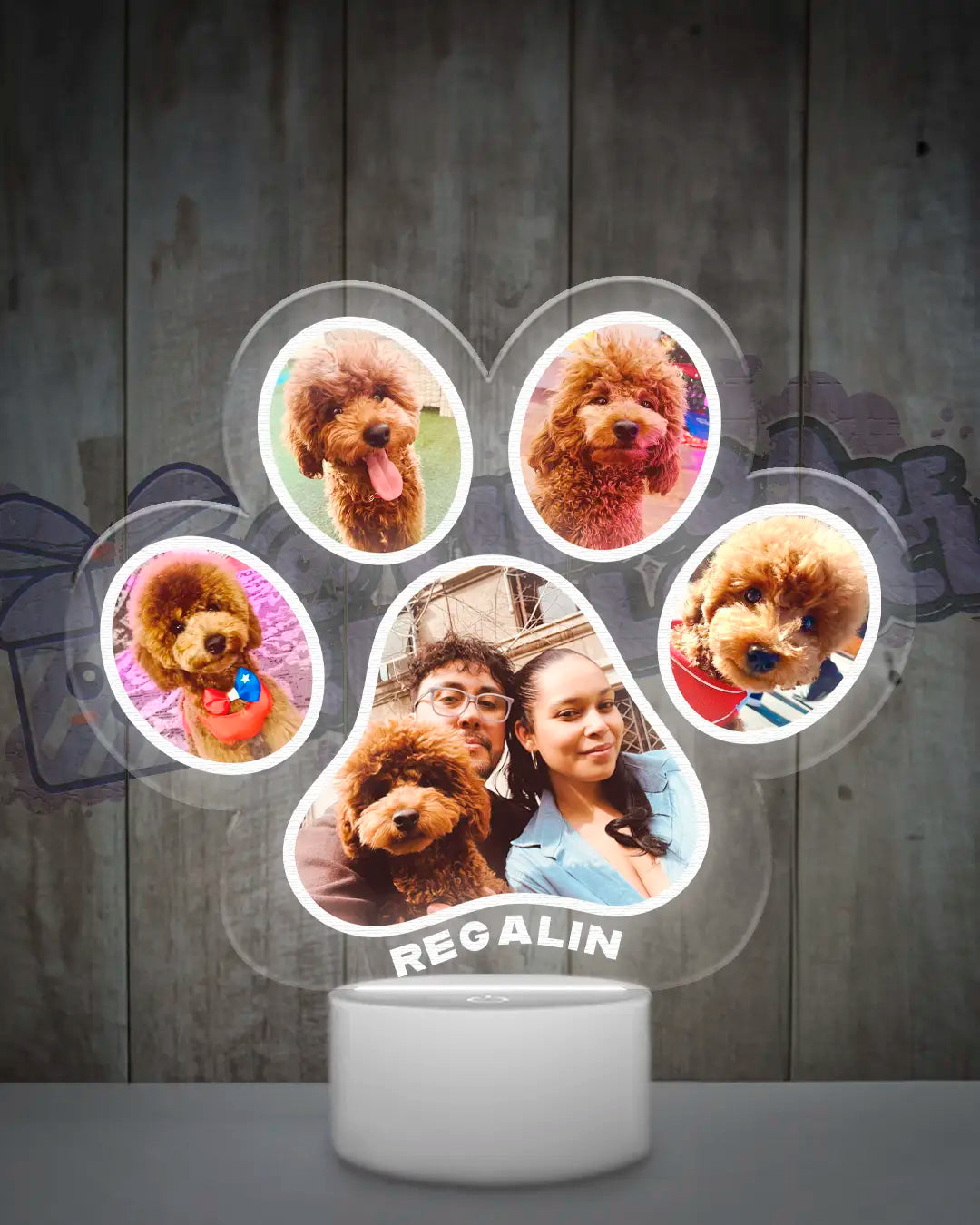 Lampara Led 3D Garrita