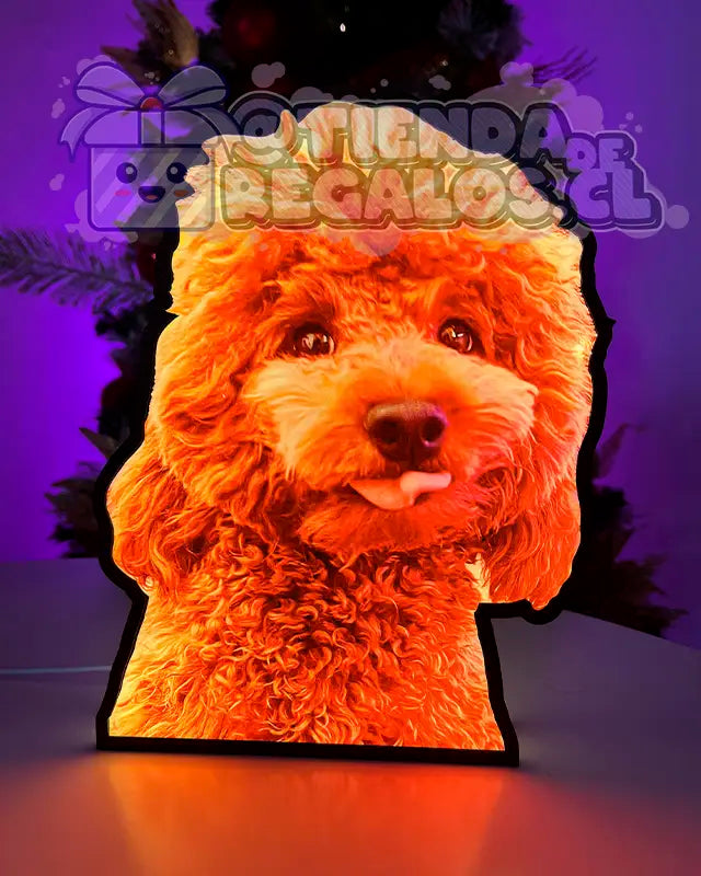 Caja De Luz Personalizada