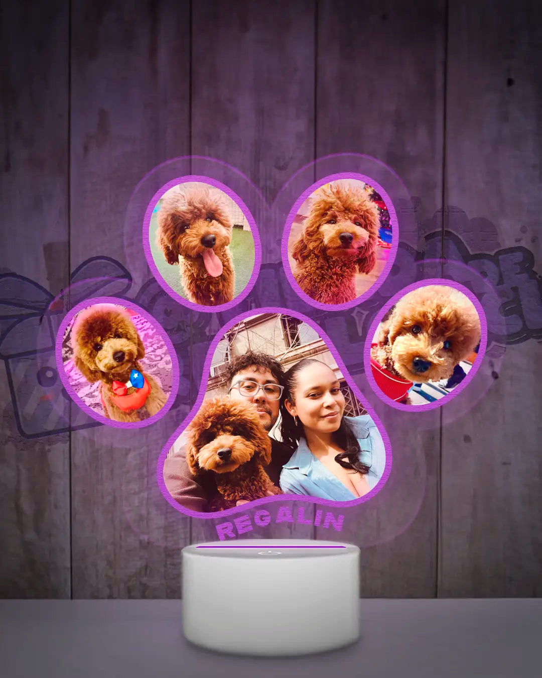 Lampara Led 3D Garrita