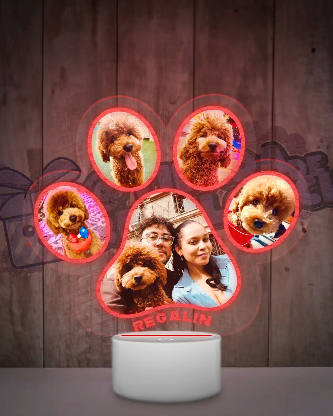 Lampara Led 3D Garrita