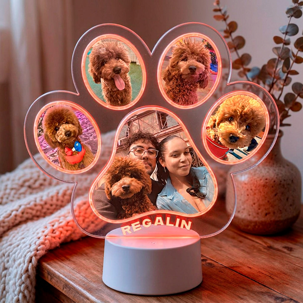 Lampara Led 3D Garrita