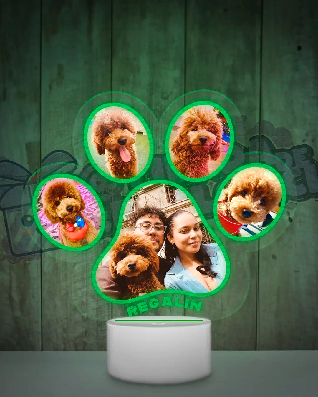 Lampara Led 3D Garrita