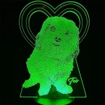 Lampara led 3d fotografica con una fotografia con corazon de fondo y una frase