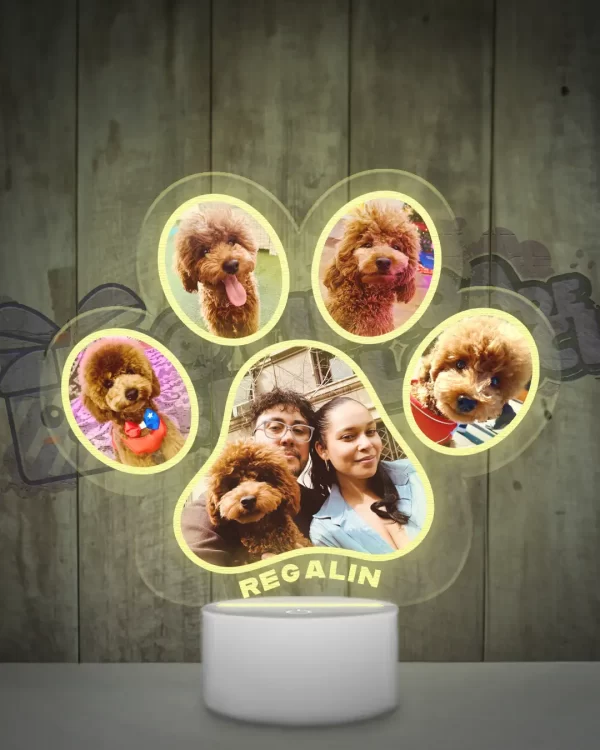 Lampara led 3d en forma de garrita con 5 fotos