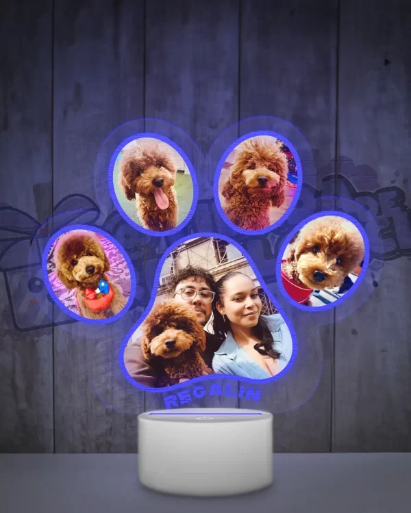 Lampara led 3d en forma de garrita con 5 fotos
