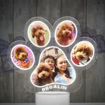 Lampara led 3d en forma de garrita con 5 fotos