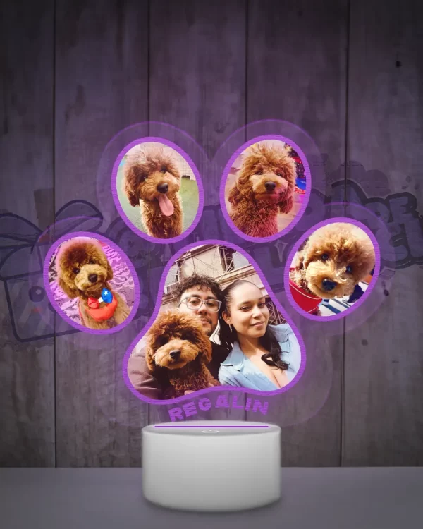 Lampara led 3d en forma de garrita con 5 fotos