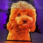caja de luz personalizada con fotografia de famoso, cantante, anime, debujo animado, artista